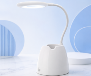LAMP - IT SR 21